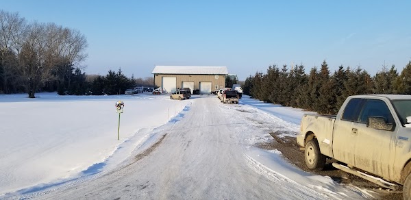 X-PERT AUTO SERVICE