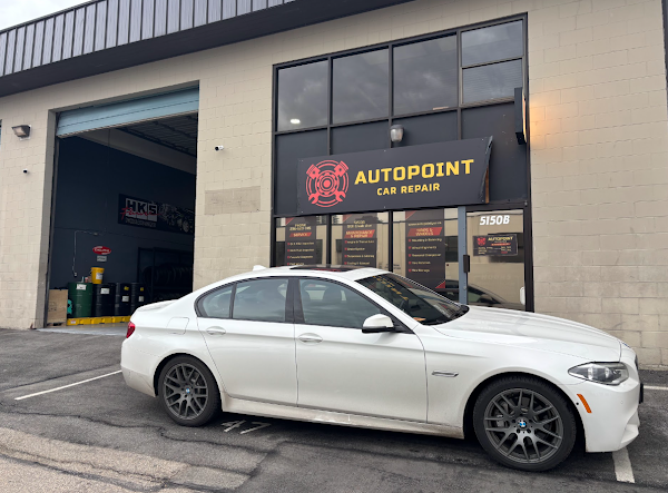 Autopoint