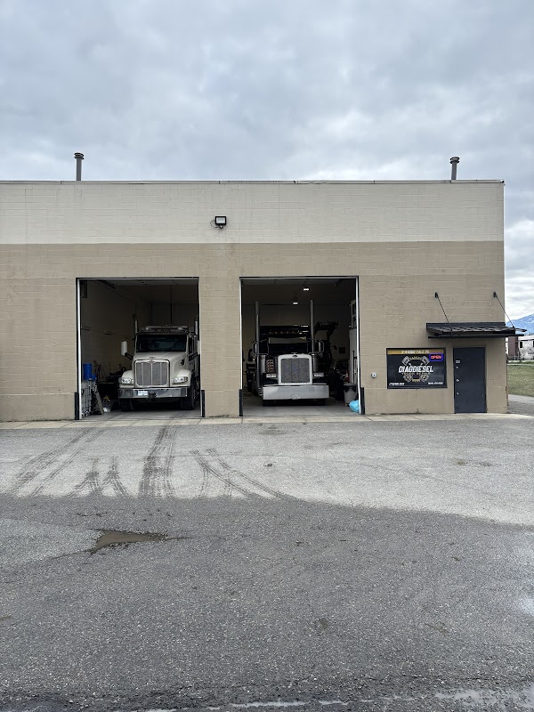DiagDiesel Truck Repair
