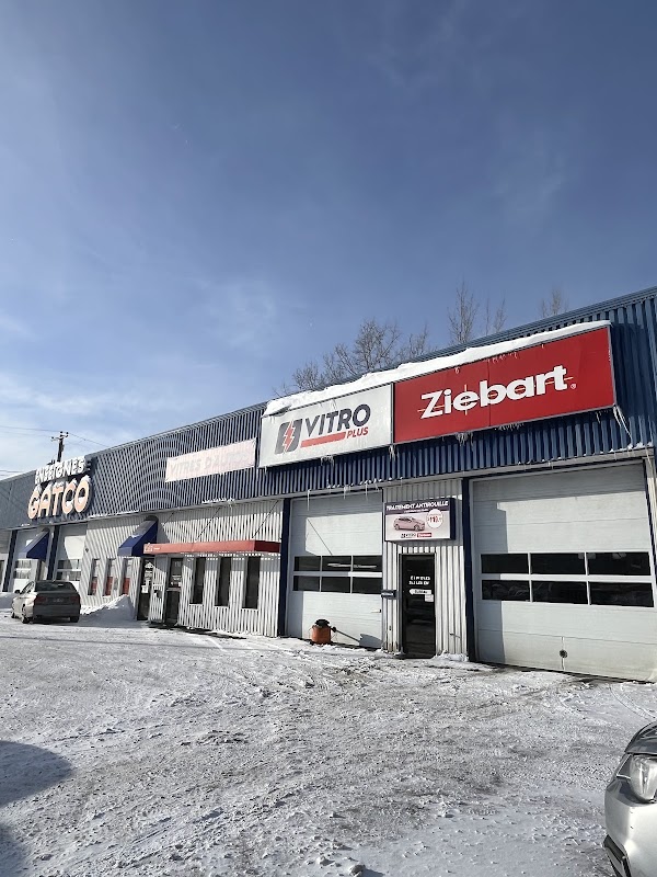 VitroPlus/Ziebart