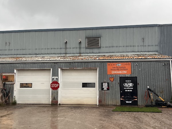 APS Automotive