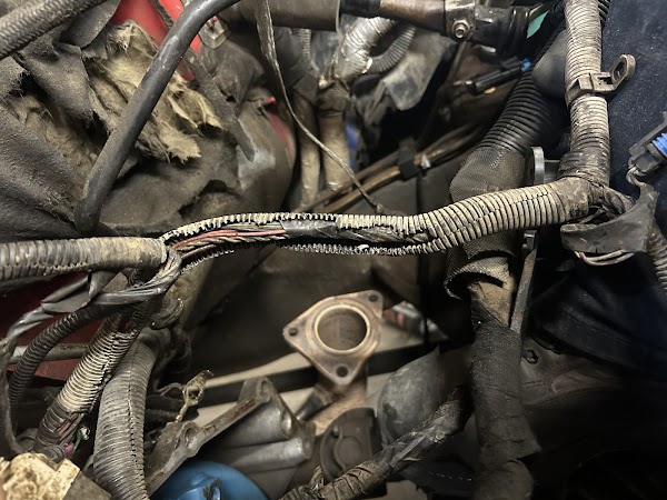 Dominion Automatic Transmission