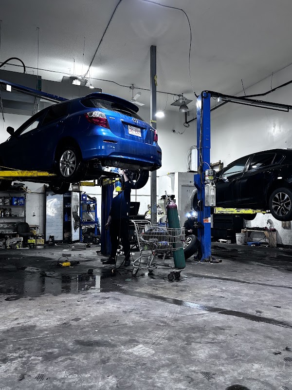 Ali auto and muffler
