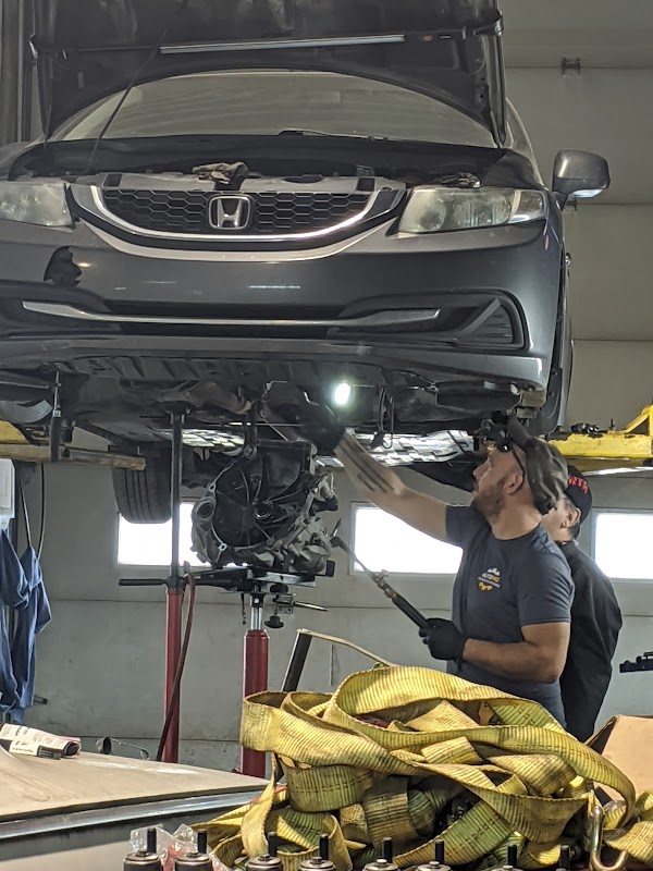 AUTO MD