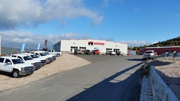 Action Car And Truck Accessories