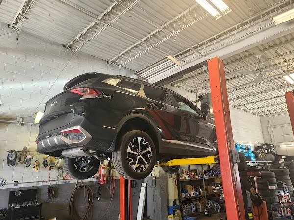 Punjab Auto Windsor