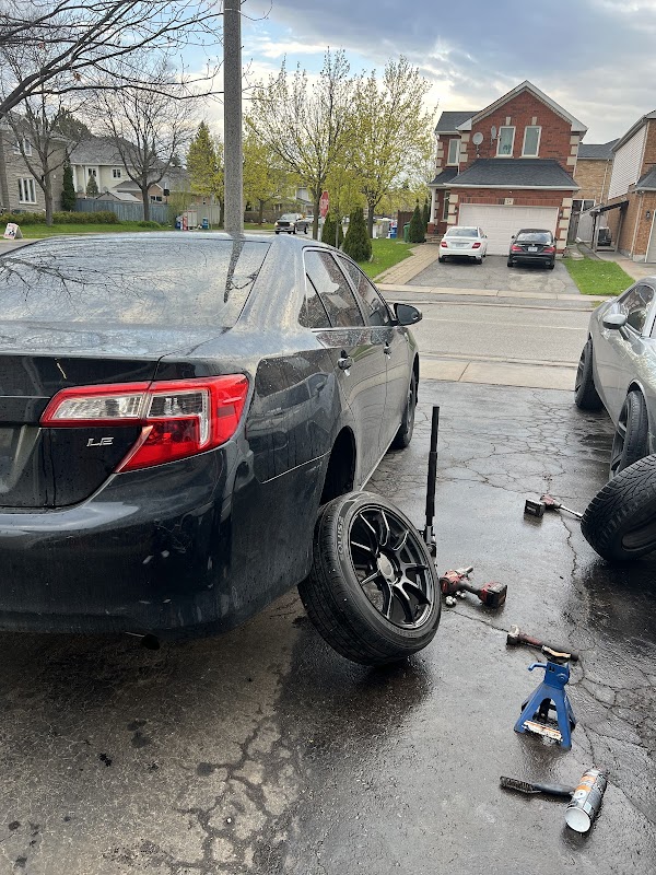 Whiptech performance