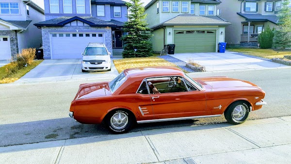 Eagle head Auto