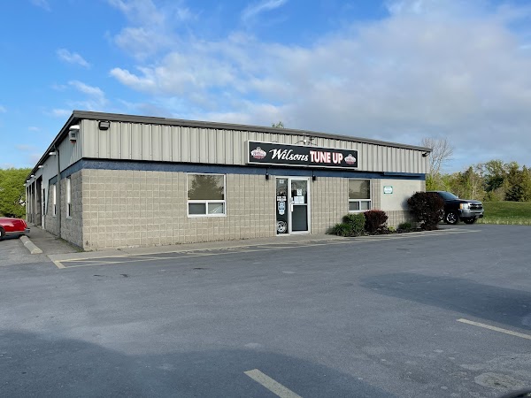 Wilson's Specialized Tune-up LTD
