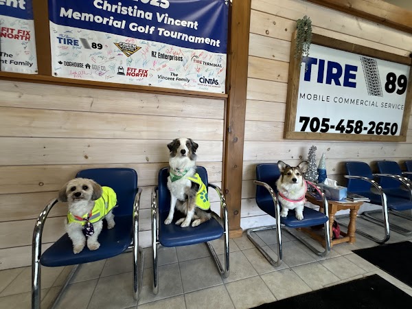 OK TIRE Simcoe County /Tire 89
